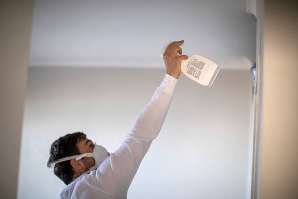 Best Home Mold Removal  in Greene, IA