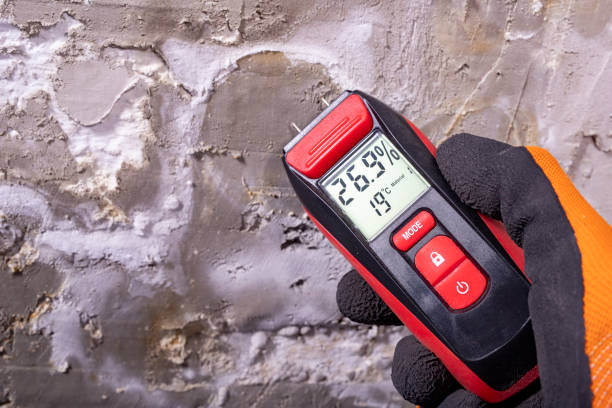 Best Residential Mold Removal  in Greene, IA